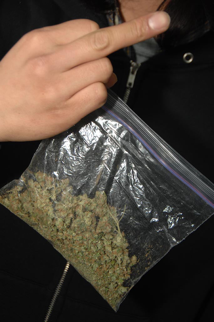 袋に入れられた乾燥大麻